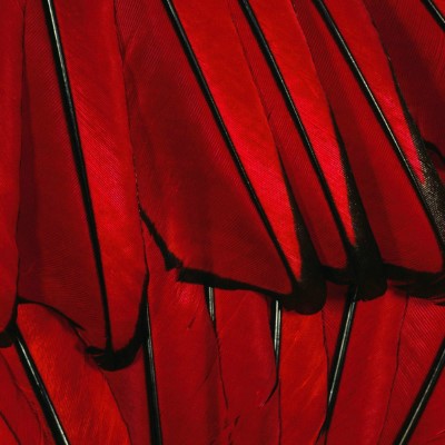 1920 x 1080 HD Wallpapers 1585